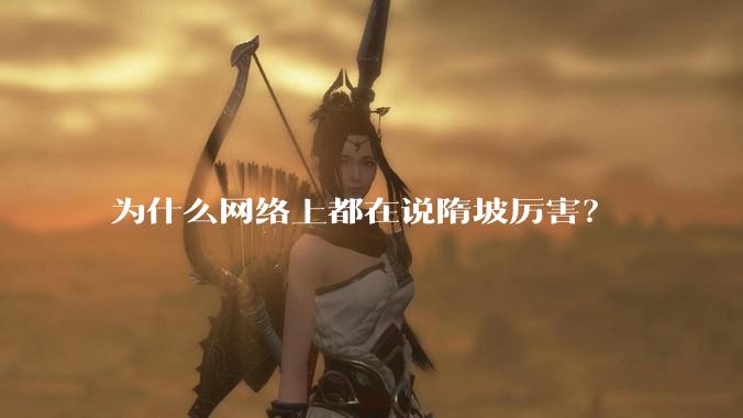 为什么网络上都在说隋坡厉害？